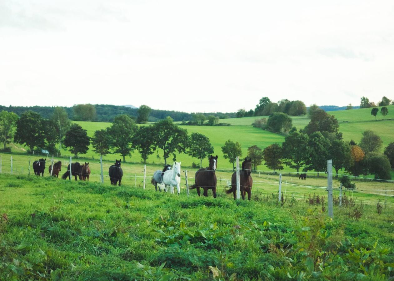 Urlaub Auf Dem Reiterhof Schaarschmidt Grossruckerswalde